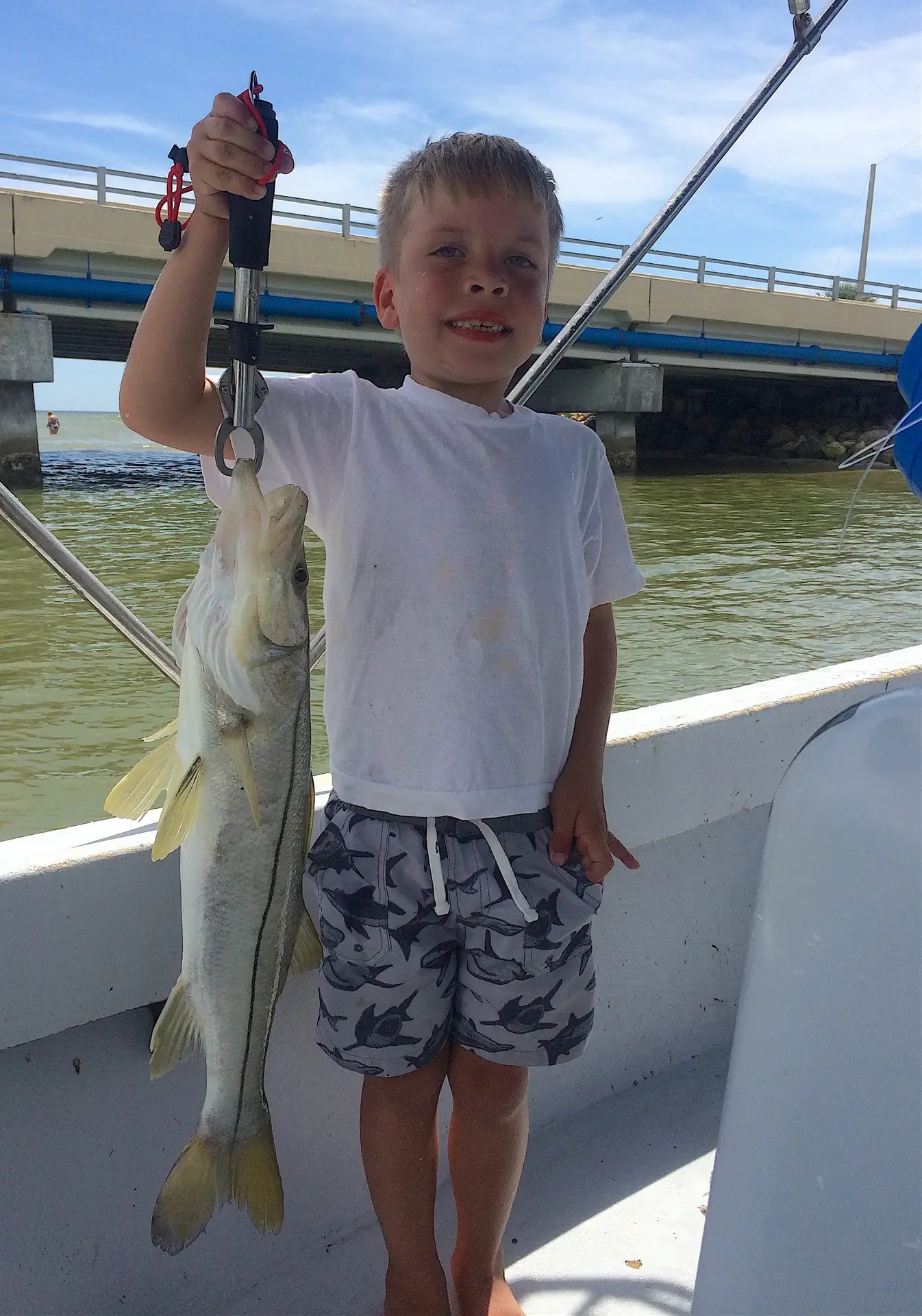 Snook, Blind Pass, Sanibel Fishing & Captiva Fishing, Wednesday, July 13, 2016.