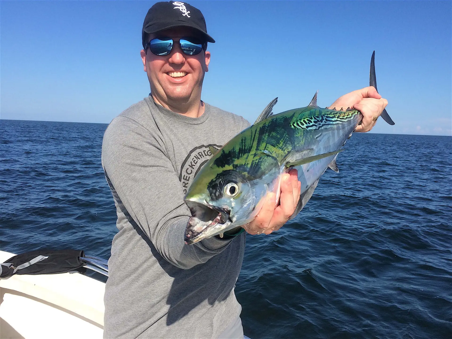 Bonita, False Albacore Tuna, Inshore, Sanibel Fishing & Captiva Fishing, Tuesday, August 23, 2016.