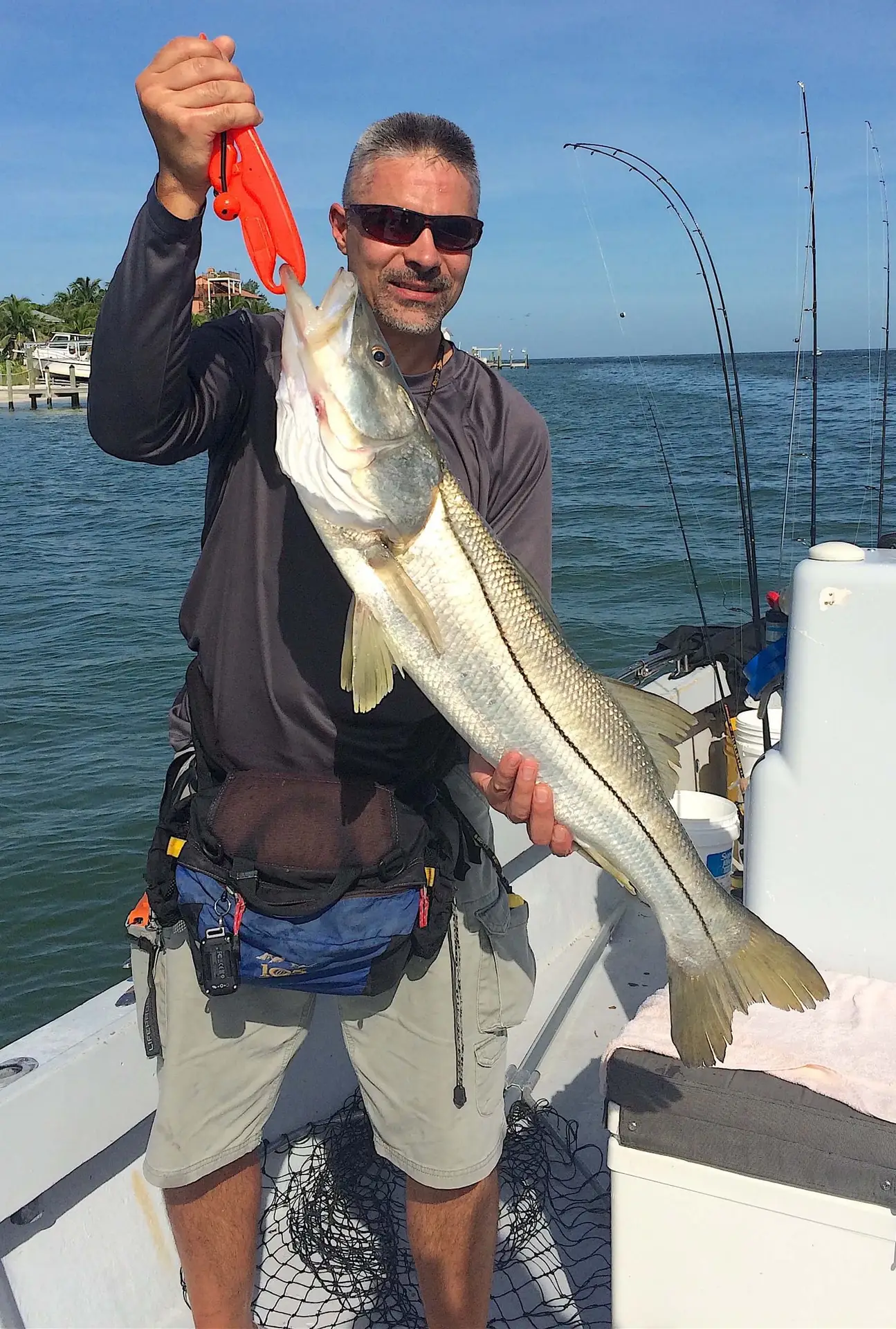Snook, North Captiva, Sanibel Fishing & Captiva Fishing, Friday, October 7, 2016.