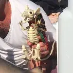 Happy Halloween, Voodoo Rat & Shark, Sanibel Fishing & Captiva Fishing, Sunday, October 30, 2016.