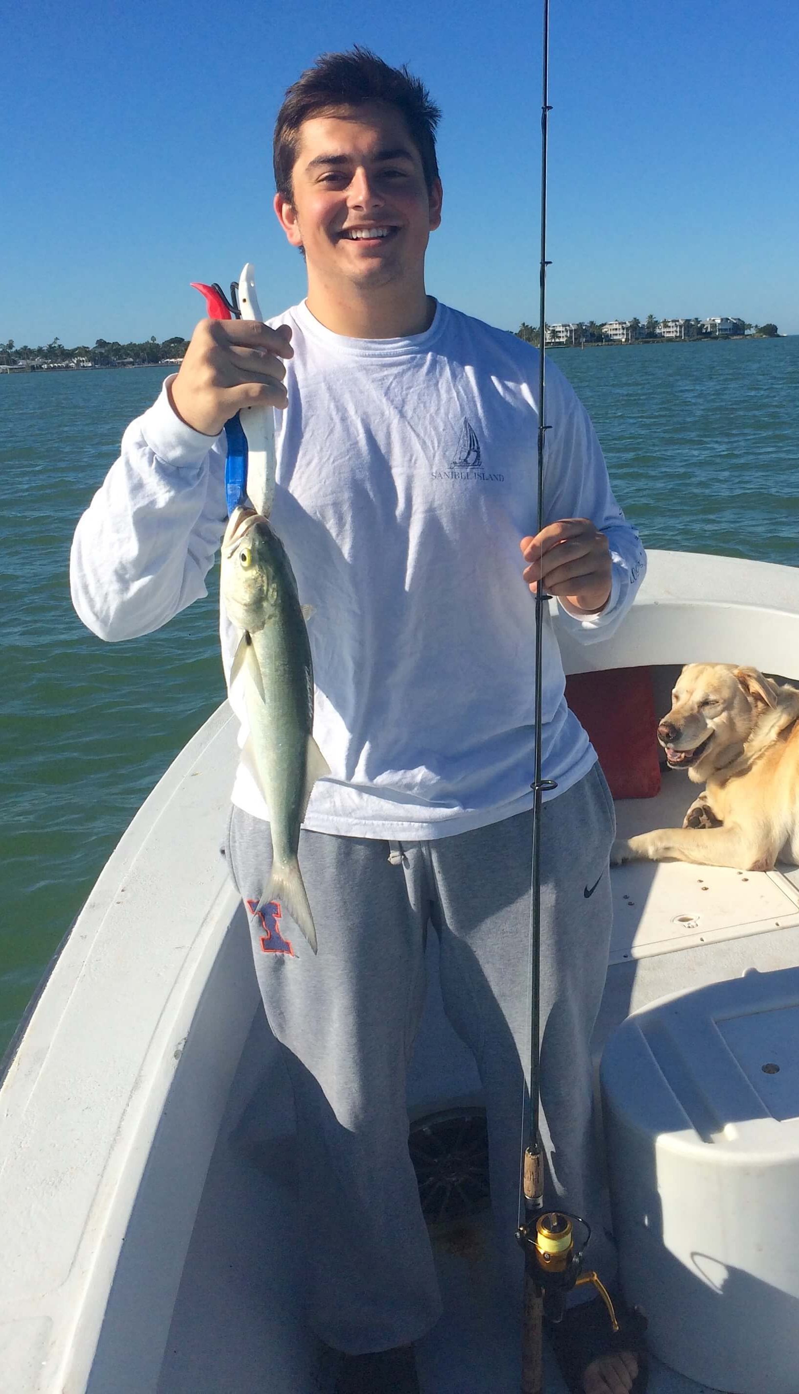 Bluefish, Thanksgiving Fishing, Sanibel Fishing & Captiva Fishing, Sanibel Island, Thursday, November 24, 2016.