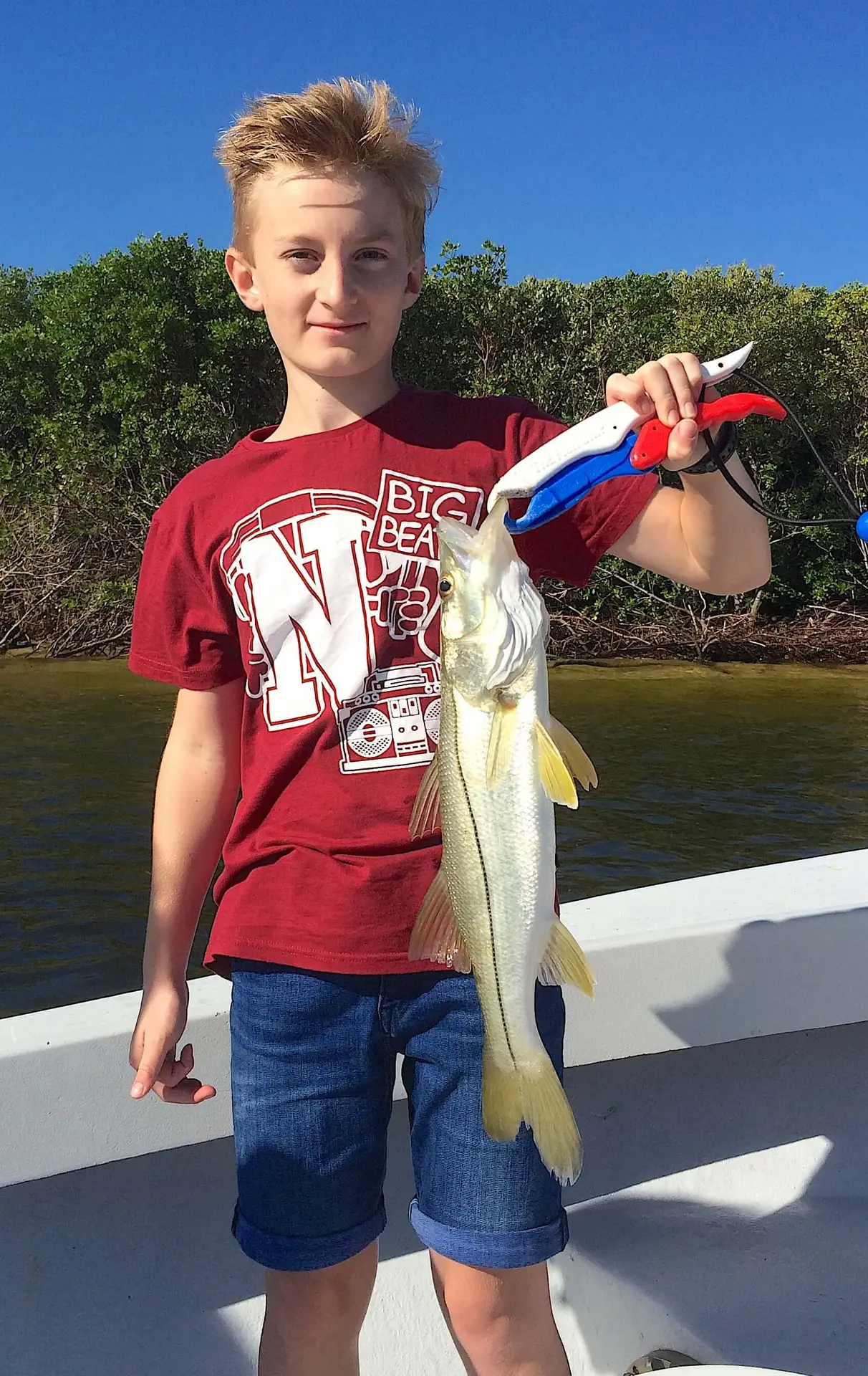 Snook, Blind Pass, Sanibel Fishing & Captiva Fishing, Tuesday, November 1, 2016.