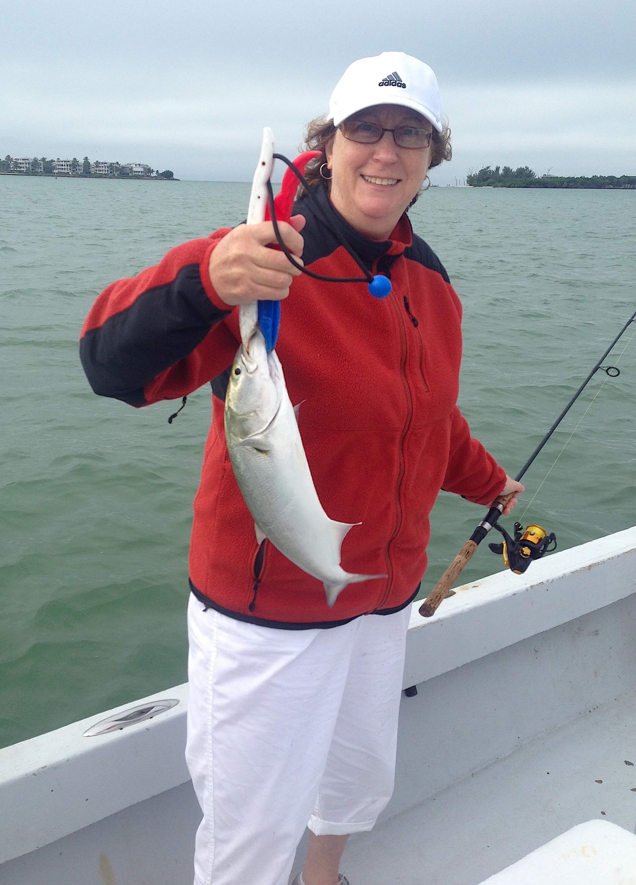 Bluefish, Sanibel Fishing & Captiva Fishing, Sanibel Island, Friday December 23, 2016.