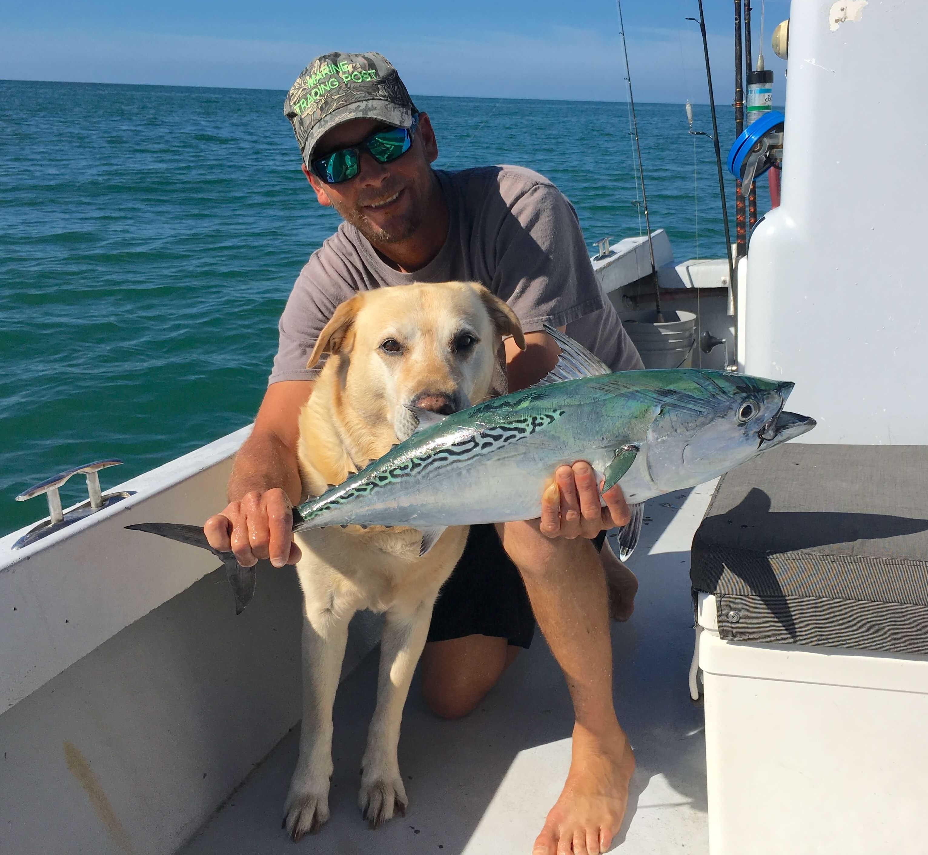 Joey, Hank, Bonita, False Albacore Tuna, Sanibel Fishing & Captiva Fishing, Sanibel Island, Friday December 30, 2016.
