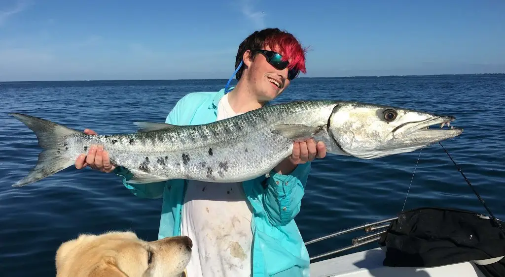 Charlie, Barracuda, Sanibel Fishing & Captiva Fishing, Sanibel Island, Thursday December 29, 2016.