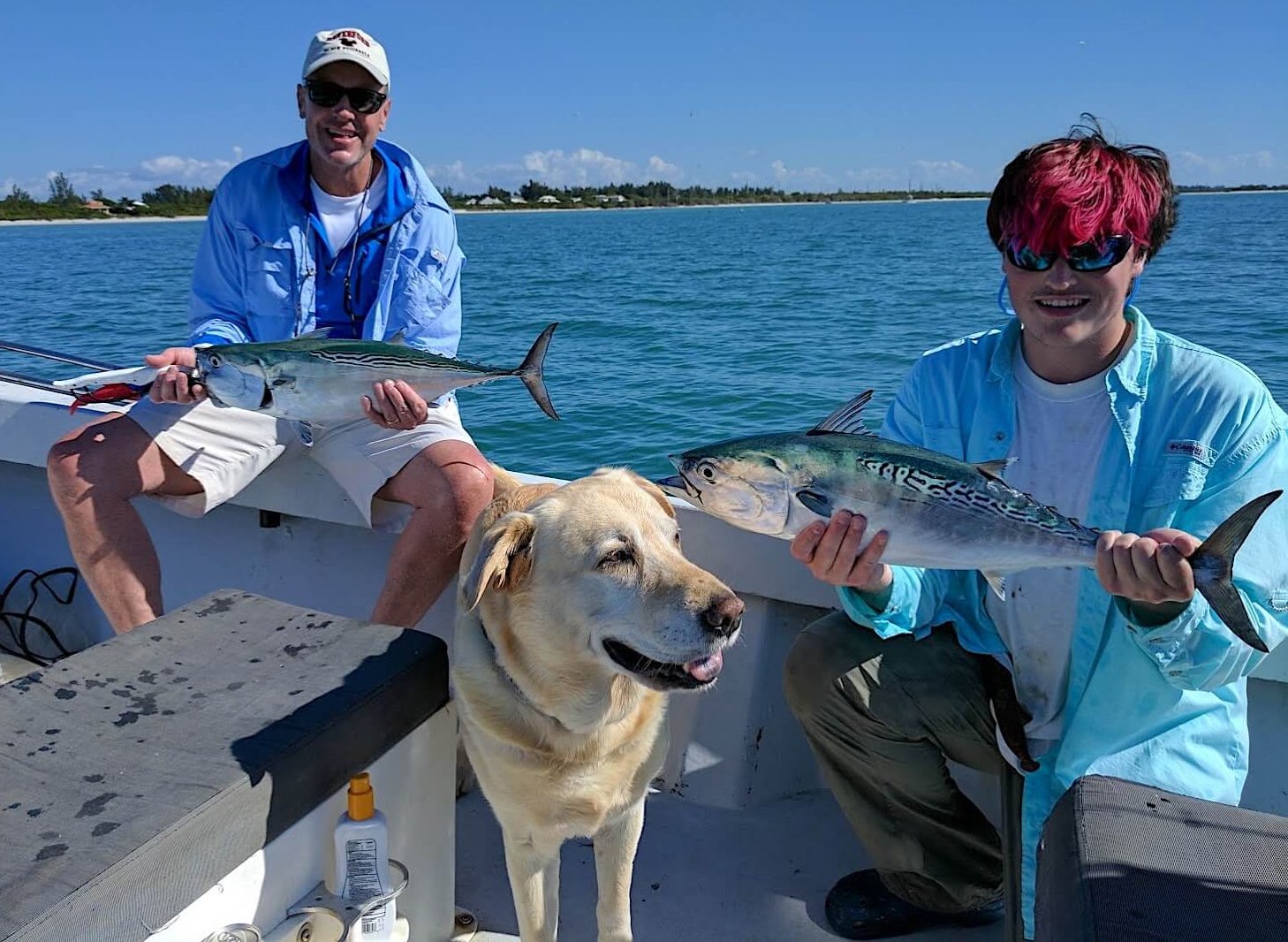 Bonita, False Albacore Tuna, Sanibel Fishing & Captiva Fishing, Sanibel Island, Sunday January 1, 2017.