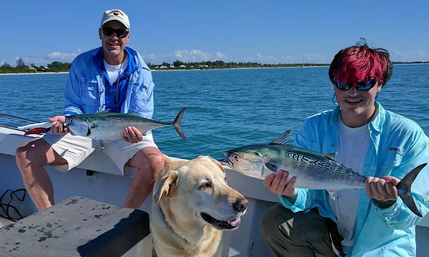 Bonita, False Albacore Tuna, Sanibel Fishing & Captiva Fishing, Sanibel Island, Sunday January 1, 2017.