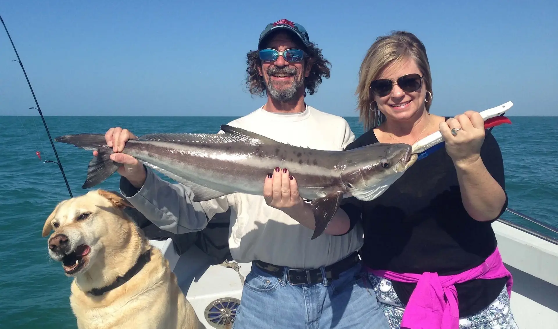 Cobia, Sanibel Fishing & Captiva Fishing, Sanibel Island, Monday January 2, 2017.