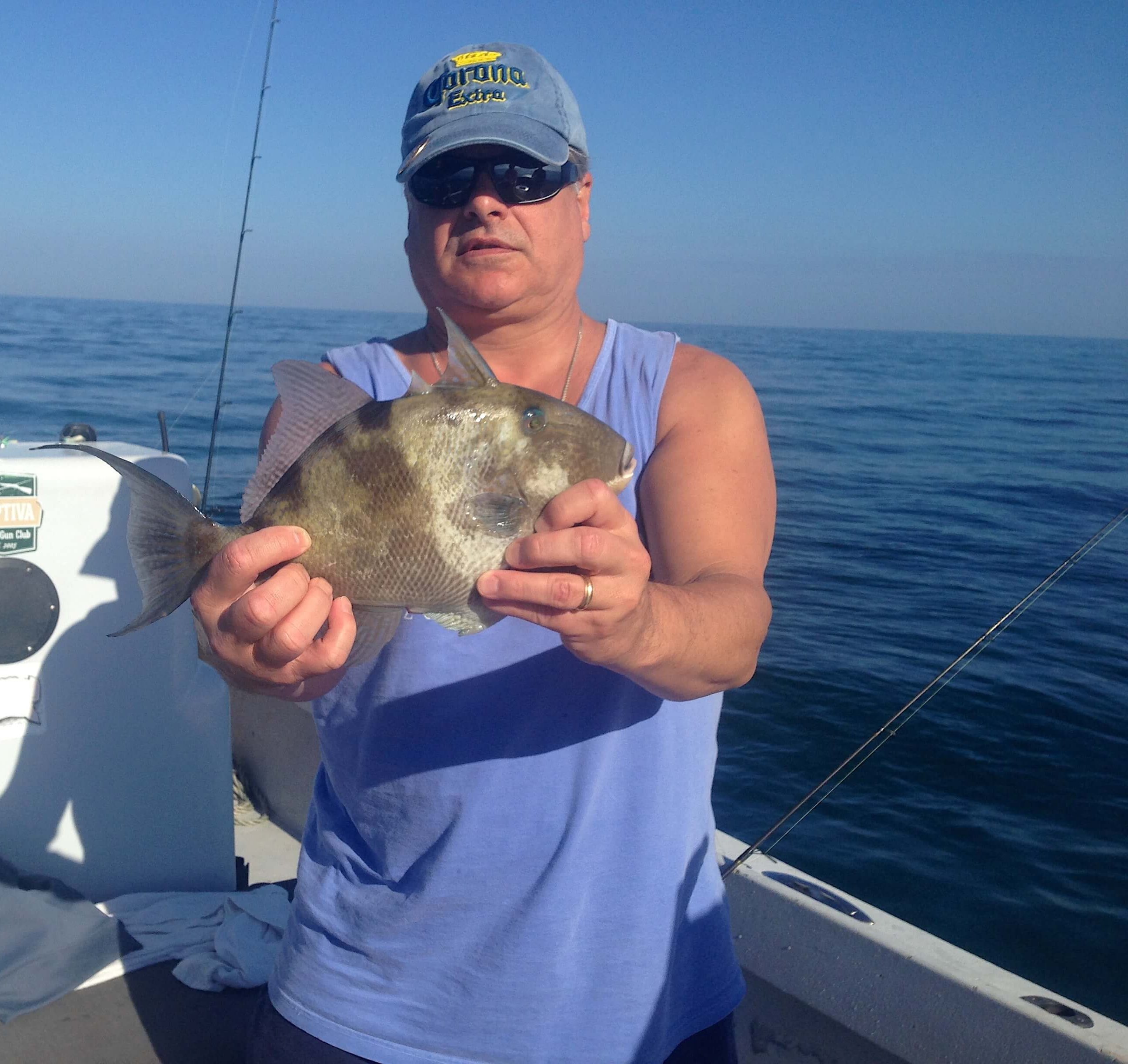 Triggerfish, Sanibel Fishing & Captiva Fishing, Sanibel Island, Tuesday January 3, 2017.