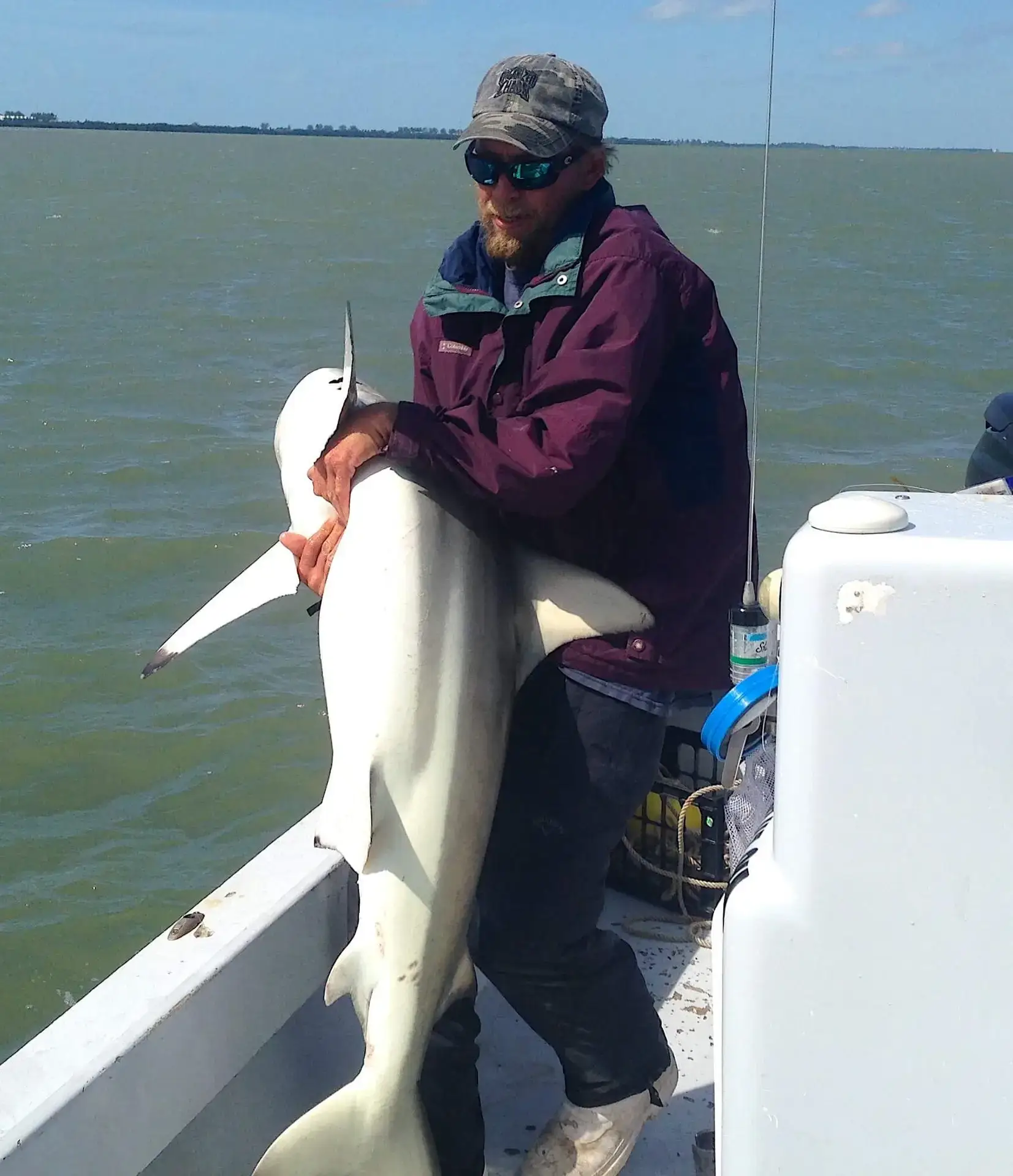 Big Blacktip Shark Wrestling; Catch & Release, Sanibel Fishing & Captiva Fishing, Sanibel Island, Wednesday, February 15, 2017.