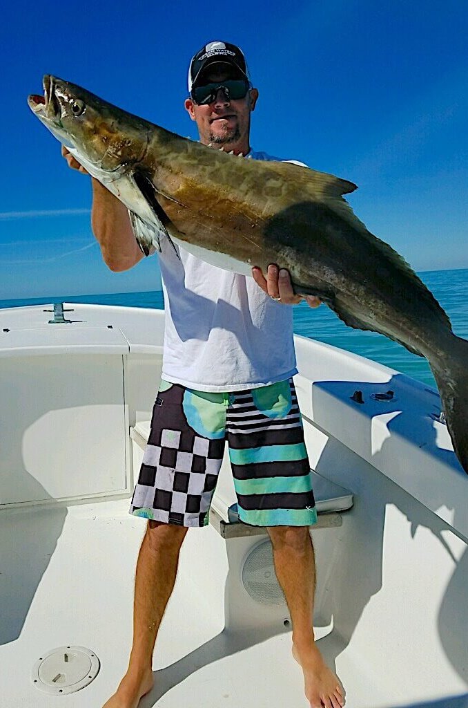 Cobia, Sanibel Fishing & Captiva Fishing, Sanibel Island, Wednesday, February 1, 2017.