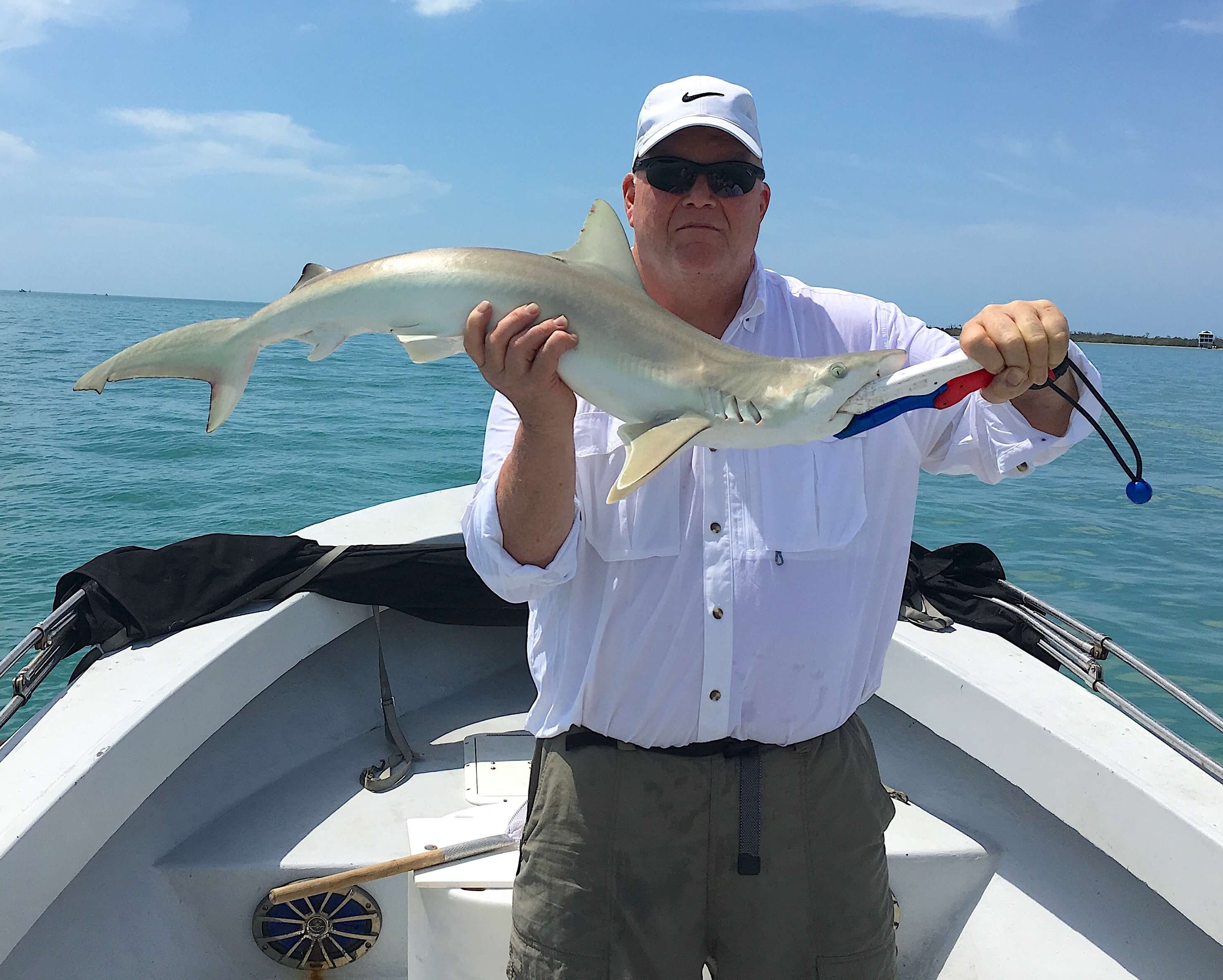 Blacknose Shark, Catch & Release, Sanibel Fishing & Captiva Fishing, Sanibel Island, Saturday, March 25, 2017.