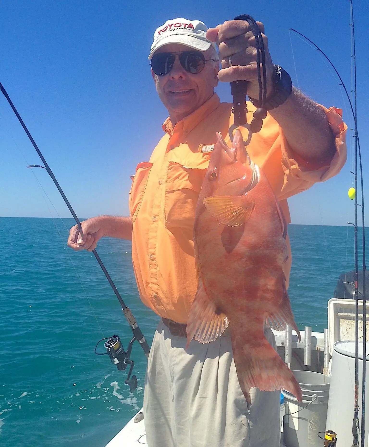Hogfish Or Hog Snapper, Sanibel Fishing & Captiva Fishing, Sanibel Island, Tuesday, March 21, 2017.