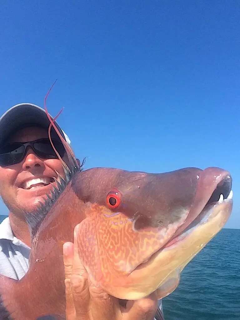 Jimmy Burnsed & Hogfish, Respective Tooth Views, Catch & Release, Sanibel Fishing & Captiva Fishing, Sanibel Island, Tuesday, March 21, 2017.