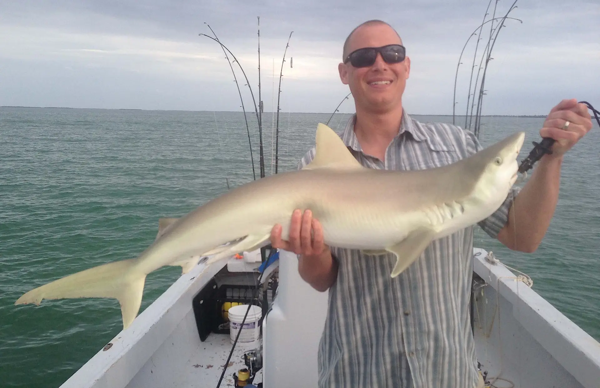 Blacknose Reef Shark, Captain Joey Burnsed, Sanibel Fishing & Captiva Fishing, Sanibel Island, Wednesday, April 26, 2017.