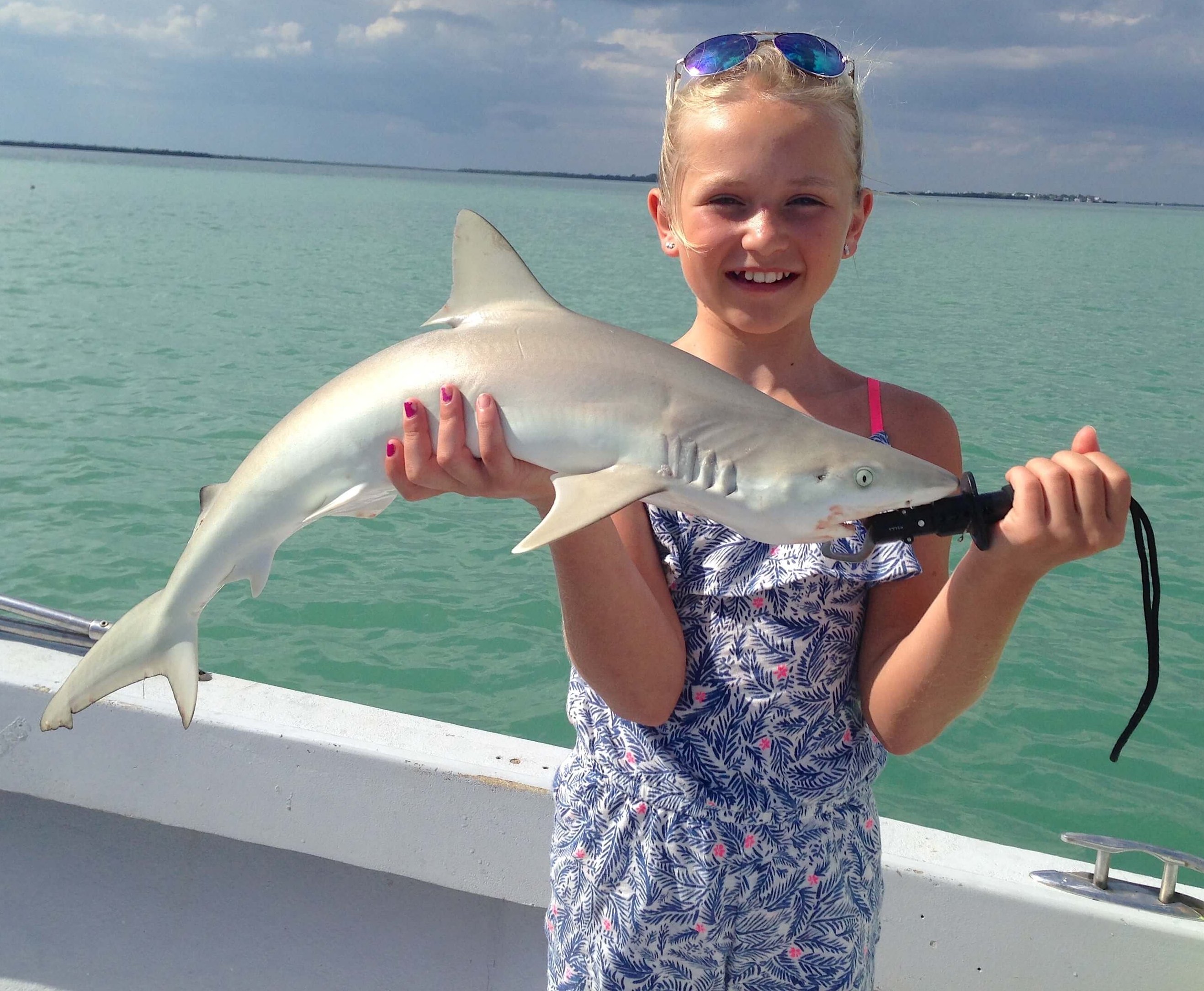 Blacknose Shark, Catch & Release, Sanibel Fishing & Captiva Fishing, Sanibel Island, Tuesday, April 11, 2017