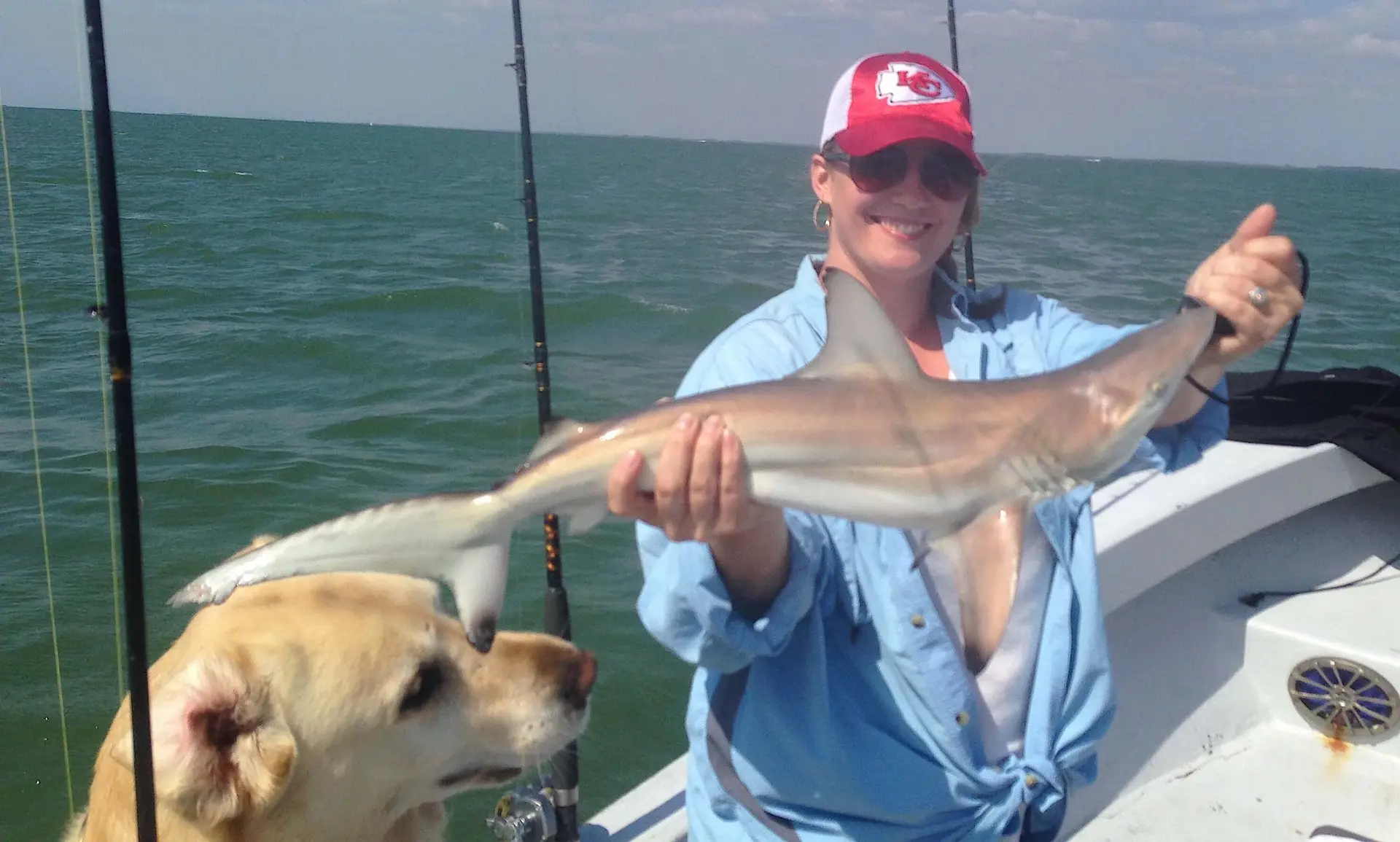 Blacktip Shark, Catch & Release, Captain Joey Burnsed, Sanibel Fishing & Captiva Fishing, Sanibel Island, Saturday, April 22, 2017.