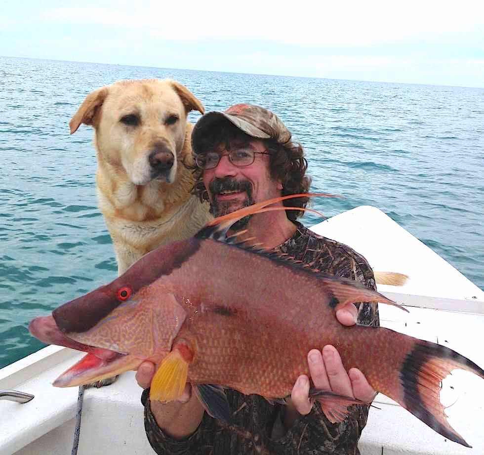 Hogfish, Hank, Patrick, Sanibel Fishing & Captiva Fishing, Sanibel Island, Sunday, April 23, 2017.