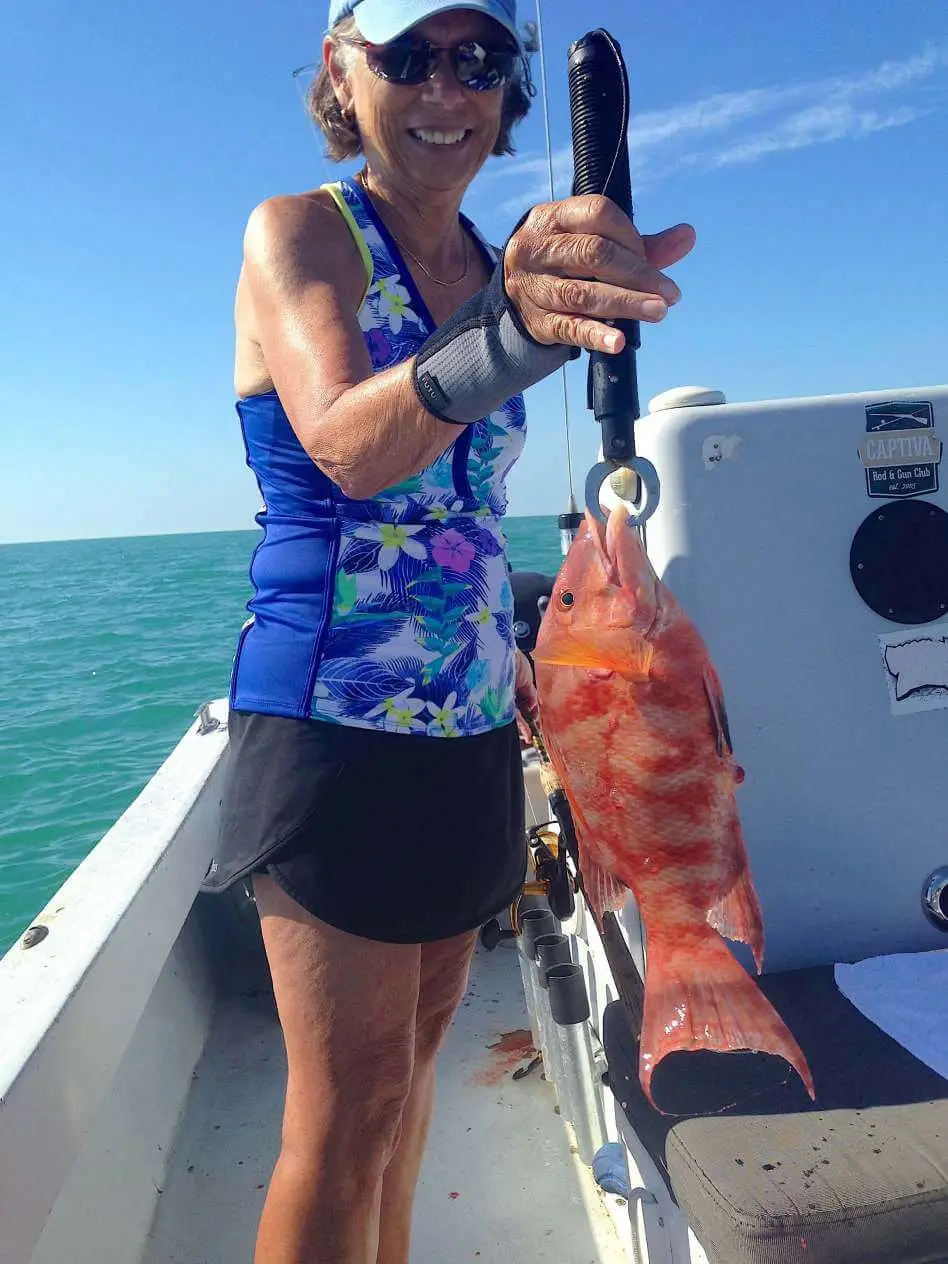 Hogfish or Hog Snapper, Catch & Release, Sanibel Fishing & Captiva Fishing, Sanibel Island, Friday, February 3, 2017.
