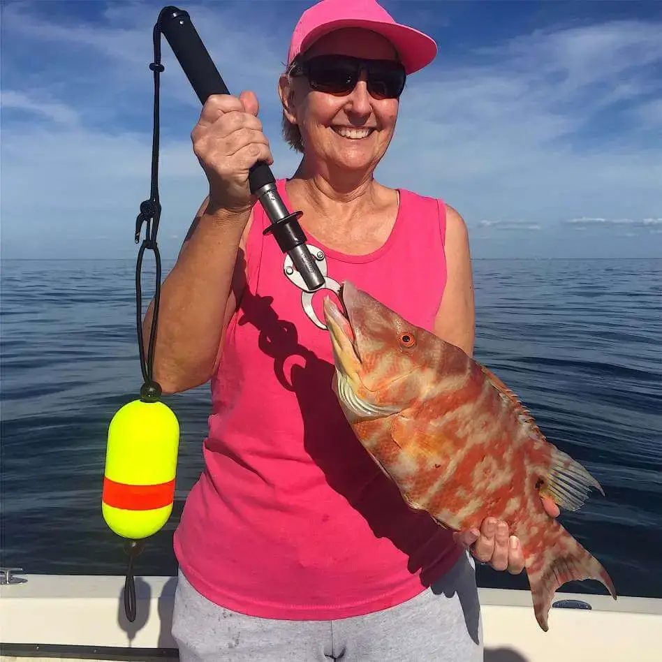 Hogfish Or Hog Snapper, Sanibel Fishing & Captiva Fishing, Sanibel Island, Friday, January 20, 2017.