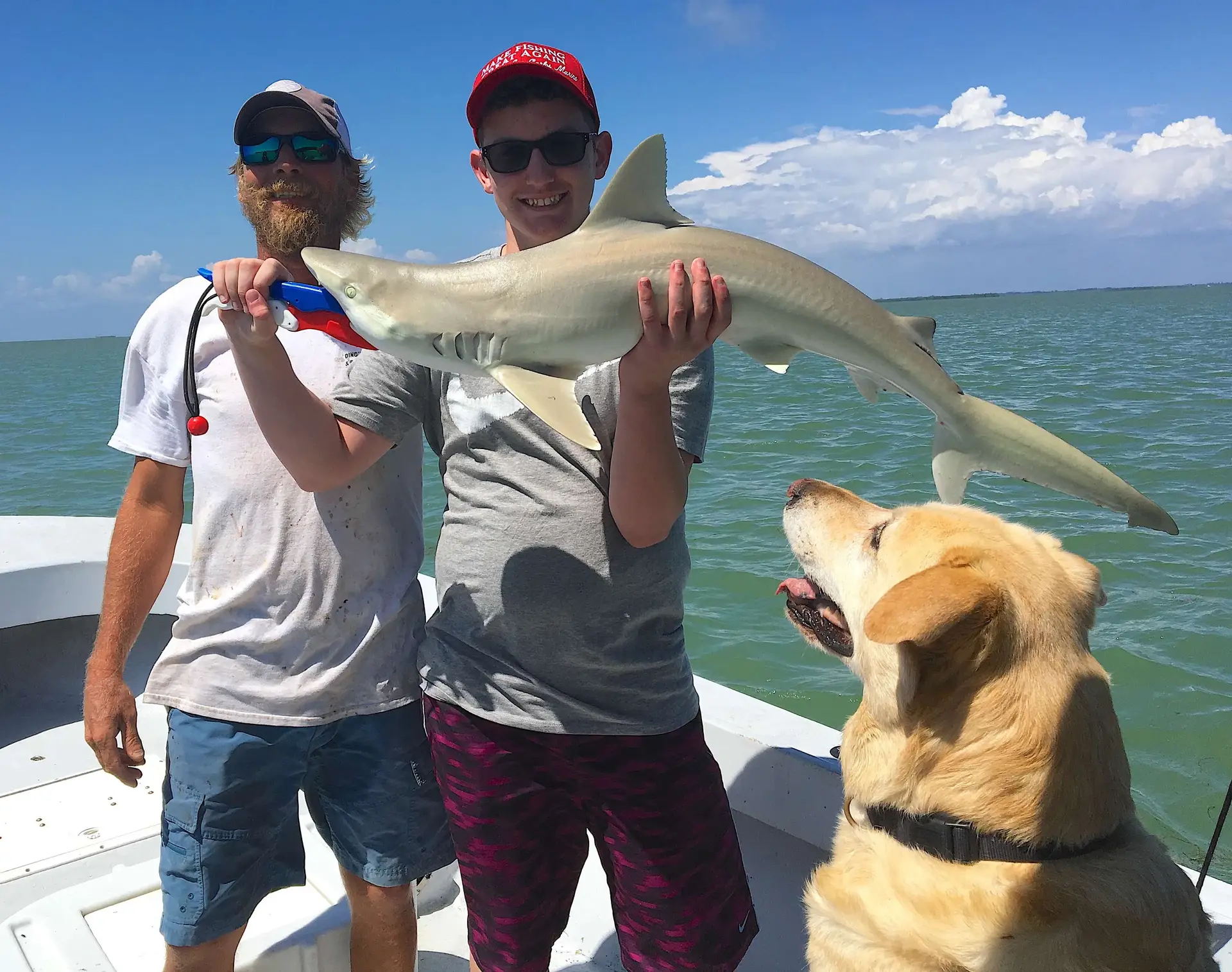 Blacknose Shark, Catch & Release, Sanibel Fishing & Captiva Fishing, Sanibel Island, Thursday, May 25, 2017.