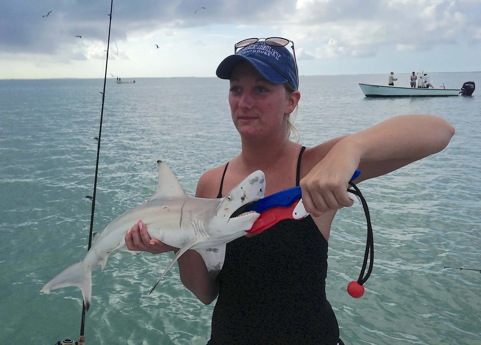 Blacktip Shark, Sanibel Fishing & Captiva Fishing, Sanibel Island, Wednesday, May 3, 2017.