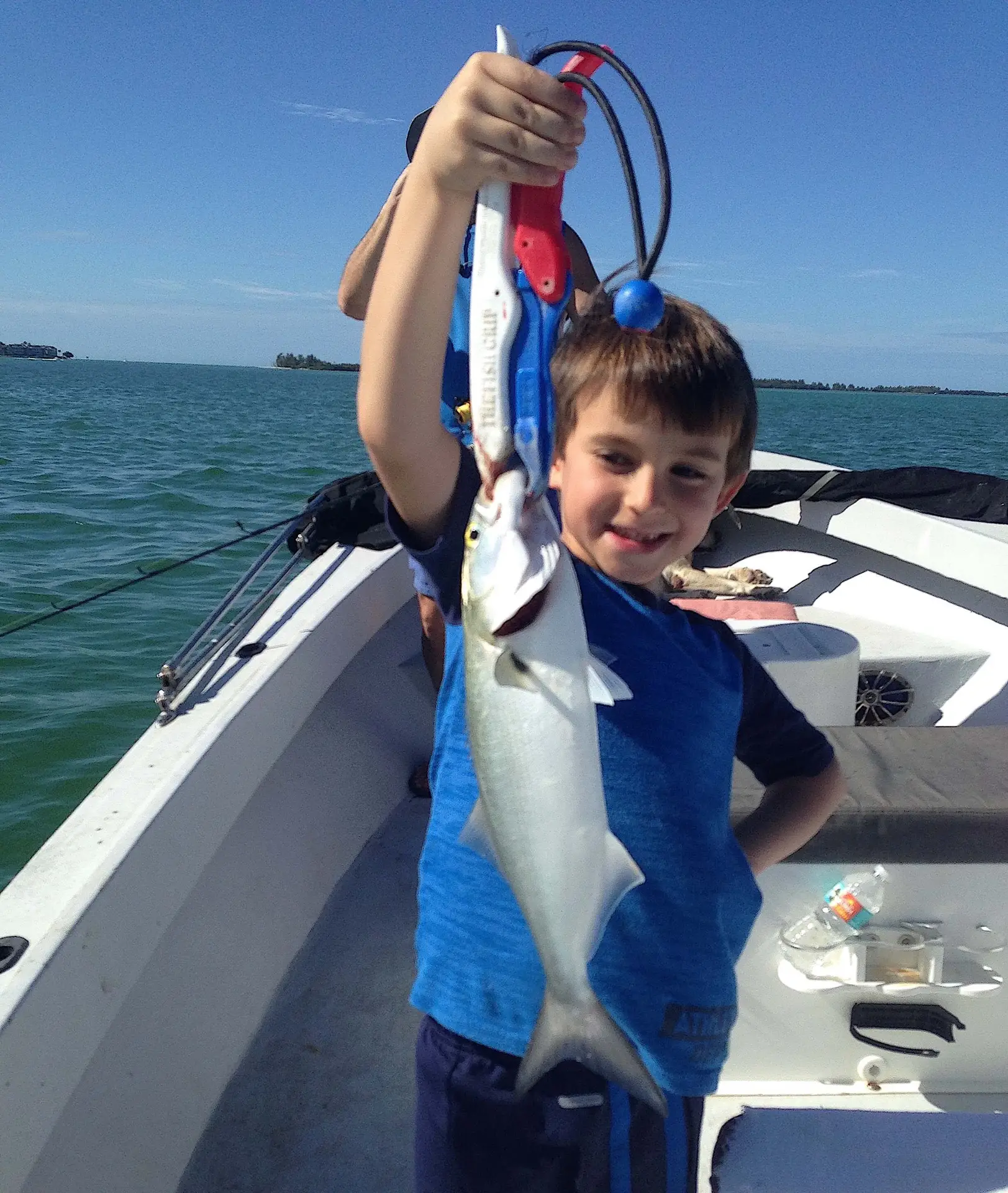 Bluefish, Sanibel Fishing & Captiva Fishing, Sanibel Island,Wednesday, May 10, 2017.