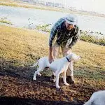 Fingers O'Bannon & Ogden Phipps, Quail Hunting, Clewiston Florida, January 1970. Pointer. Source: New York Social Diary.