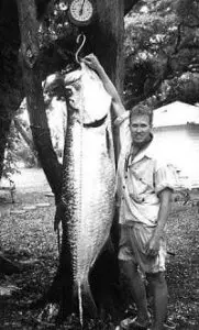 Jim Holland Jr. - May 11, 2001: 202 LB 8oz - 20 LB tippet : Chassahowitzka, Florida. Photo Courtesy Of Jim Holland & flyfishfortarpon.com.