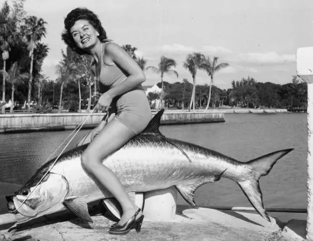 Tarpon Fly Fishing Records, Lady And The Tarpon, Sanibel Fishing & Captiva Fishing, Sanibel Island, Thursday, June 1, 2017. Photo Courtesy Of scgov.net.