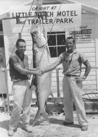 Mac Miller - May, 1964 : 143.5 LB - 12 LB tippet : Little Torch Key, Florida. Photo Courtesy Of Mac Miller & flyfishfortarpon.com.