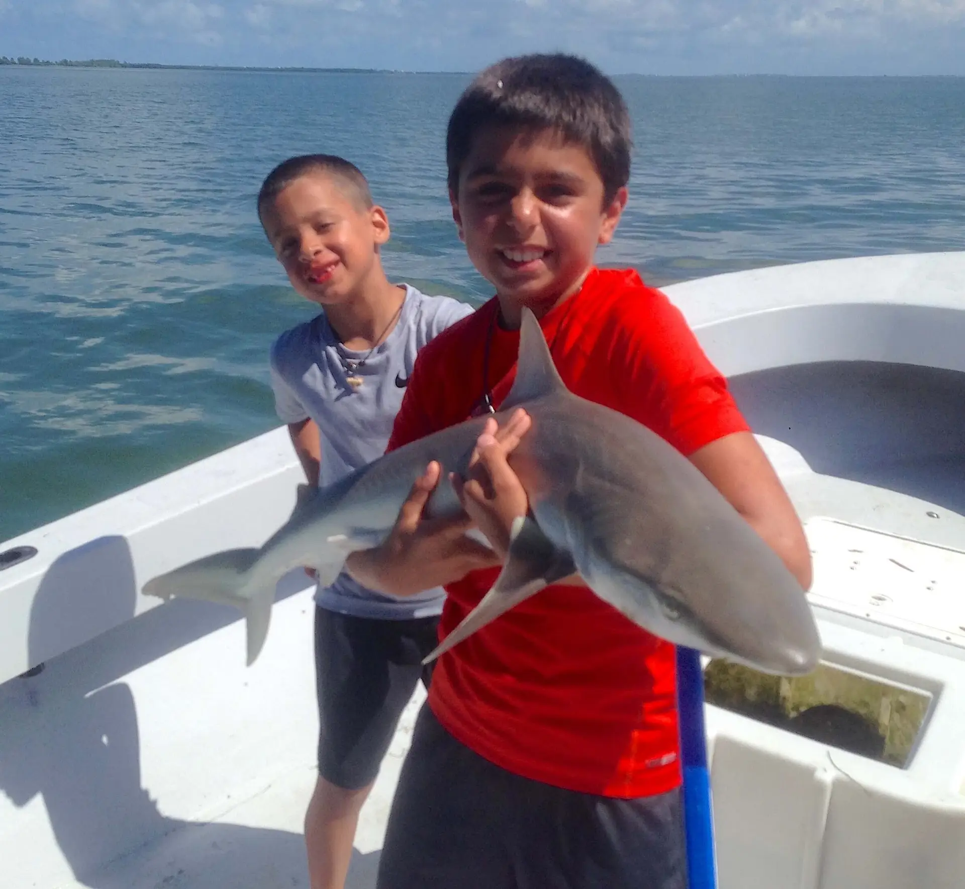 Sharks & Tarpon, Sanibel Fishing & Captiva Fishing, Sanibel Island, Sunday, June 18, 2017.