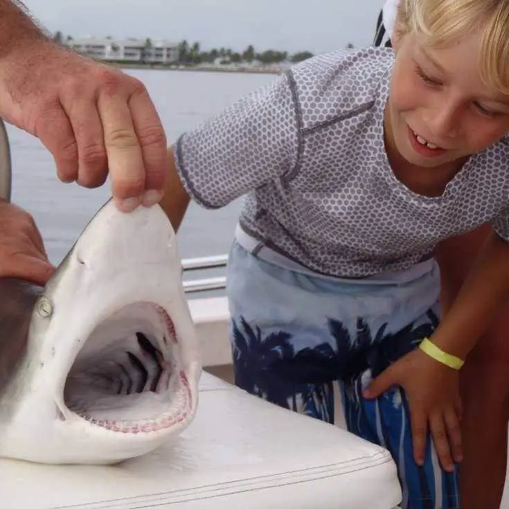 Blacktip Shark Closeup & Children, Catch & Release, Sanibel Fishing & Captiva Fishing, Sanibel Island, Friday, August 11, 2017. File Photo.