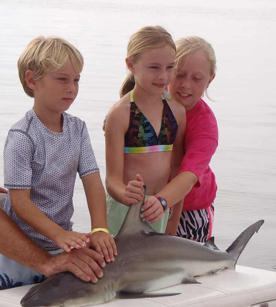 Blacktip Shark Fishing & Children, Catch & Release, Sanibel Fishing & Captiva Fishing, Sanibel Island, Sunday, July 16, 2017.