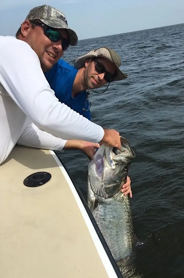 Tarpon Fishing, Early August, Catch & Release, Sanibel Fishing & Captiva Fishing, Sanibel Island, Friday, August 4, 2017.