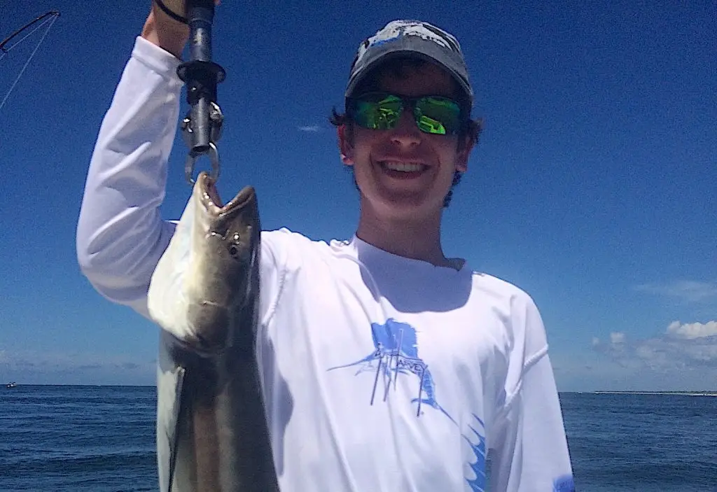 Cobia, Near Offshore, Sanibel Fishing & Captiva Fishing, Sanibel Island, Saturday, September 2, 2017.
