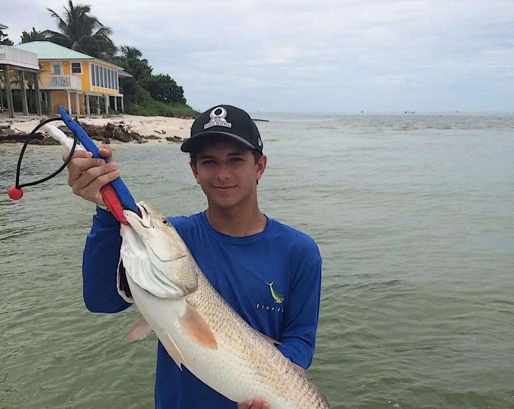 Redfish, North Captiva, Sanibel Fishing & Captiva Fishing, Sanibel Island, Saturday, September 16, 2017.