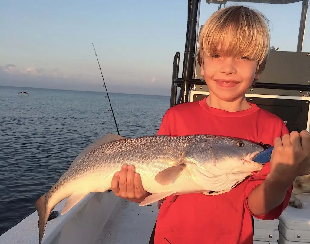 Redfish, Oyster Bars, Sanibel Fishing & Captiva Fishing, Sanibel Island, Monday, September 25, 2017.