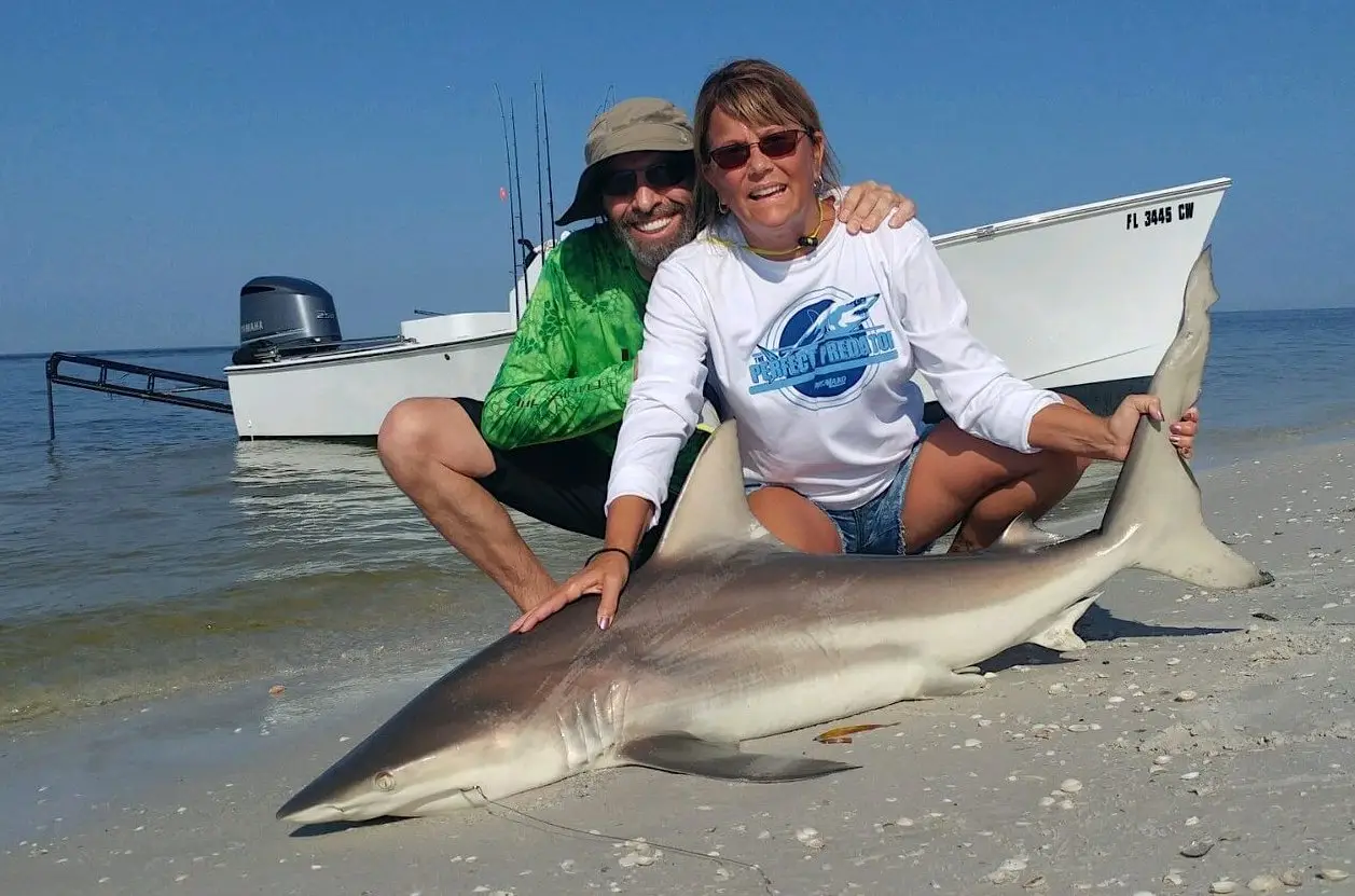 Spinner Shark, Cayo Costa, Catch & Release, Sanibel Fishing & Captiva Fishing, Sanibel Island, Thursday, September 28, 2017.