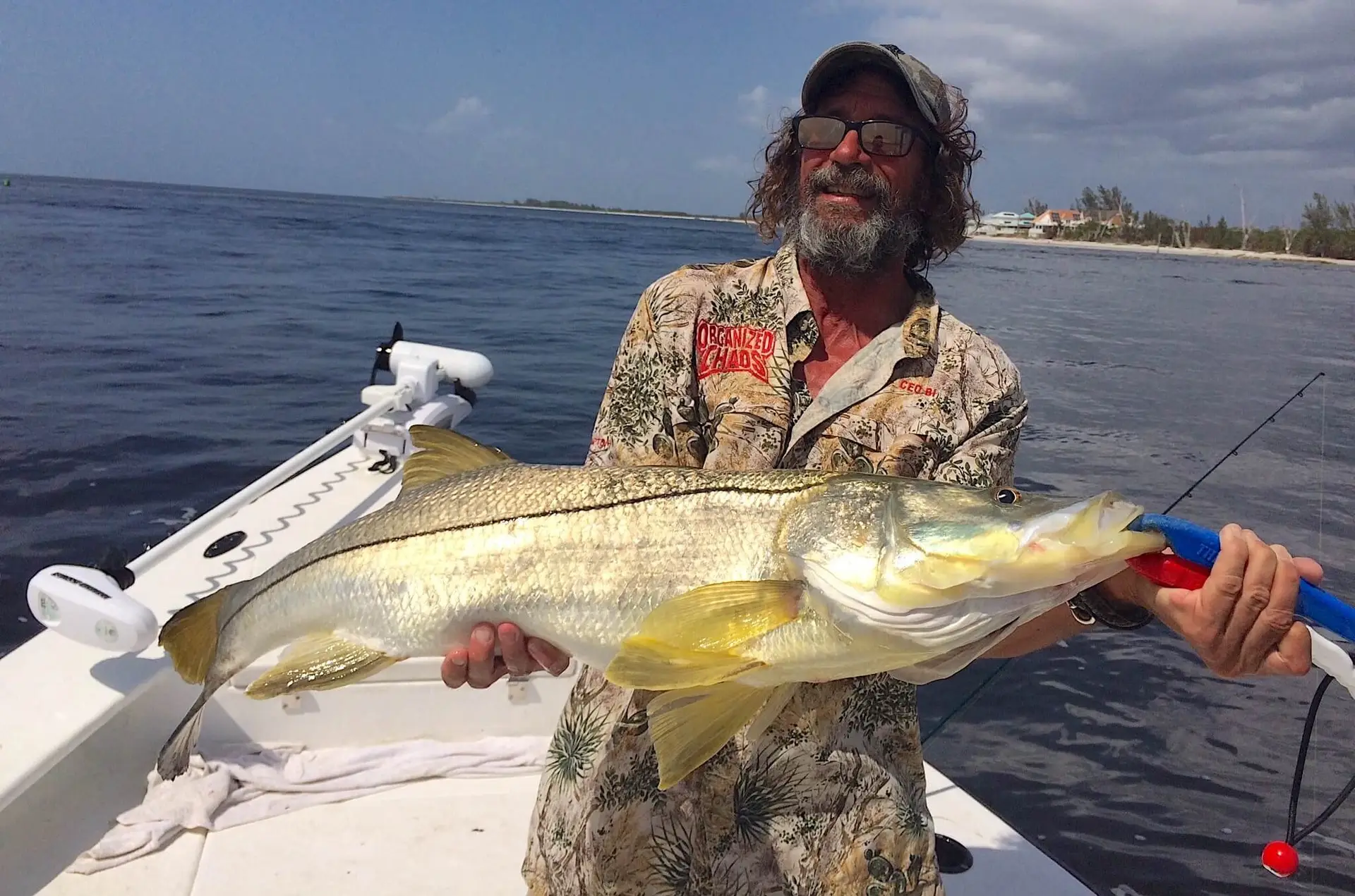 Big Snook, Catch & Release, Sanibel Fishing & Captiva Fishing, Sanibel Island, Monday, October 2, 2017.