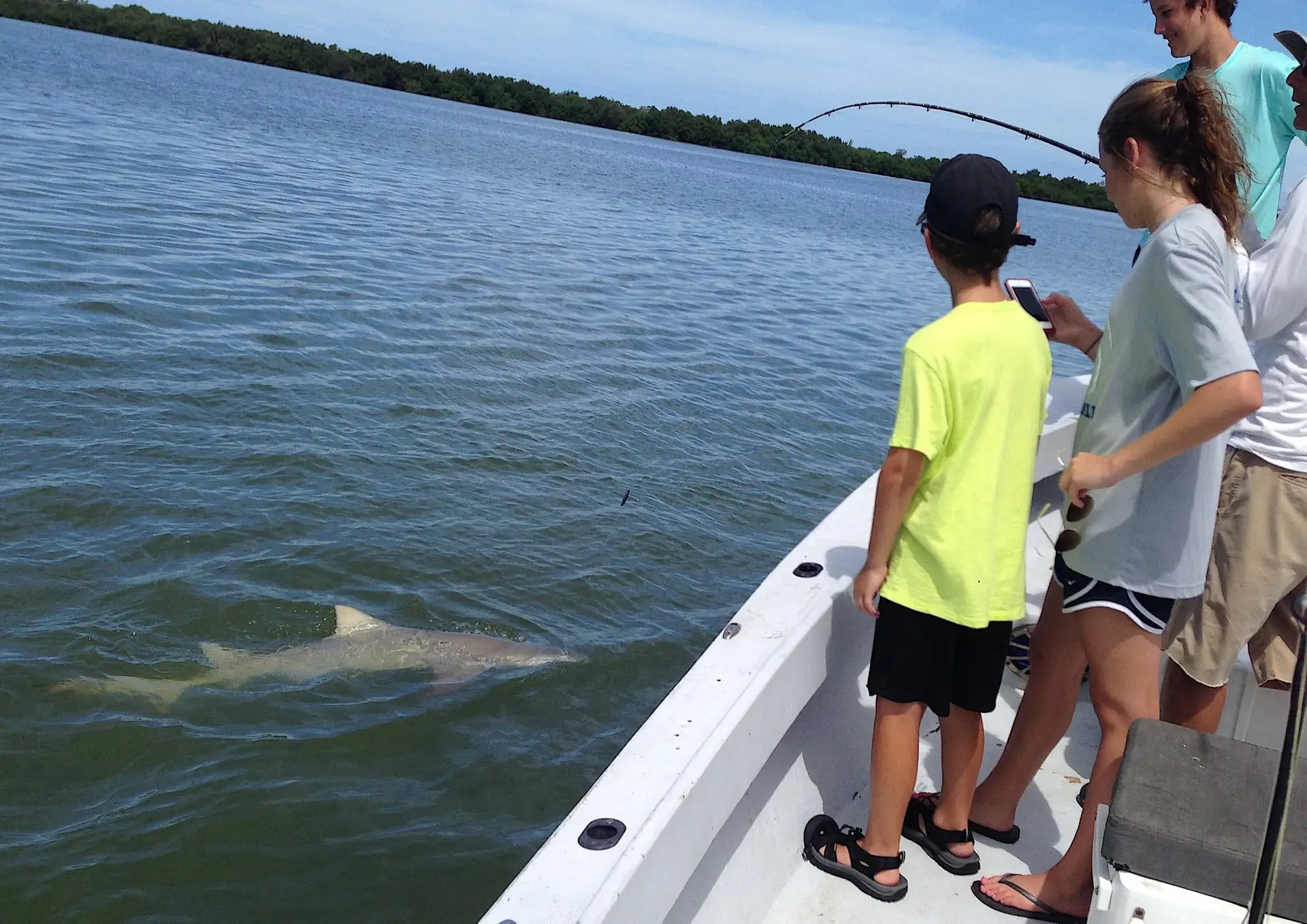 Lemon Shark, Catch & Release, Sanibel Fishing & Captiva Fishing, Sanibel Island, Saturday, October 28, 2017.
