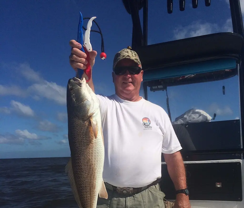 More Redfish & Snook, Oyster Bars, High Tide, Sanibel Fishing & Captiva Fishing, Sanibel Island, Wednesday, October 25, 2017.