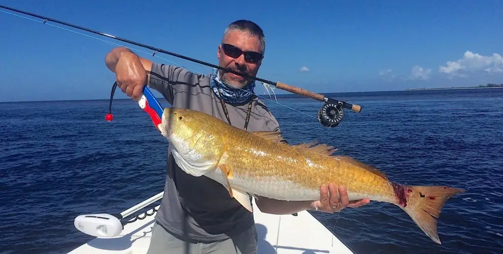 Fly Fishing, Redfish, Catch Release, Sanibel Fishing & Captiva Fishing, Sanibel Island, Wednesday, October 11, 2017.