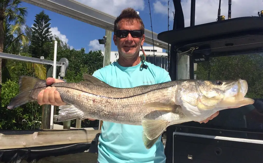 Snook, Ed, Drifting The Passes, Catch & Release, Sanibel Fishing & Captiva Fishing, Sanibel Island, Friday, October 6, 2017.