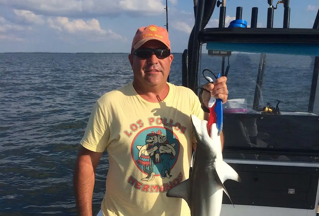 Blacktip and Blacknose Sharks, Inshore, Catch & Release, Sanibel Fishing & Captiva Fishing, Sanibel Island, Tuesday, November 14, 2017.