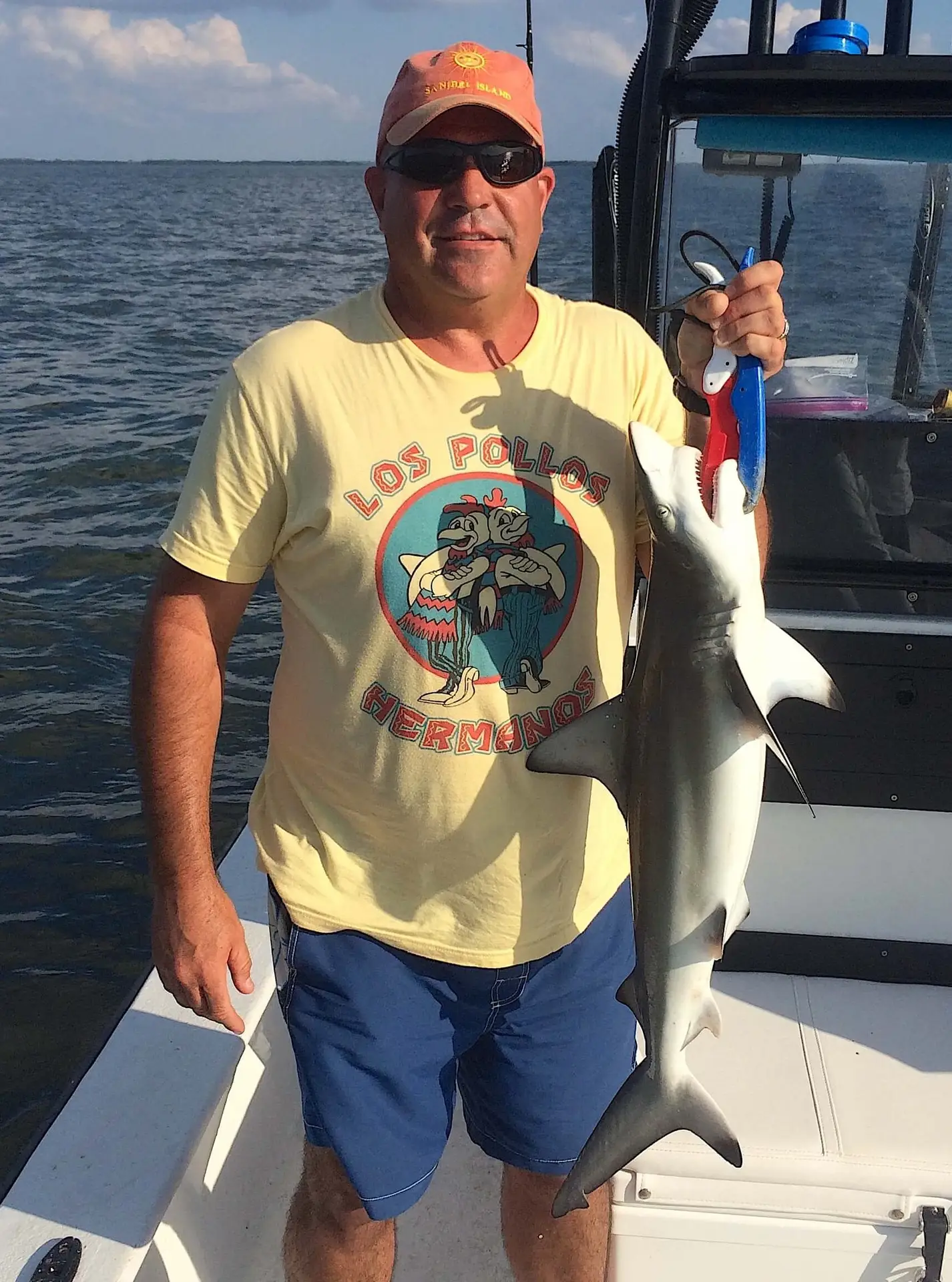 Blacktip Sharks, Inshore, Catch & Release, Sanibel Fishing & Captiva Fishing, Sanibel Island, Tuesday, November 14, 2017.