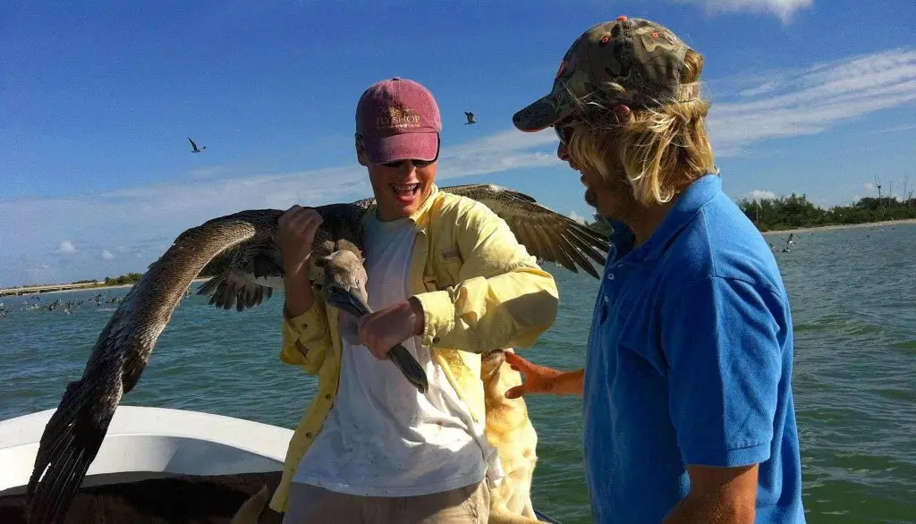 Charlie & Pelican, Catch & Release, Sanibel Fishing & Captiva Fishing, Sanibel Island, Wednesday, November 22, 2017, [File Photo - Thanksgiving Weekend, November 23, 2011].