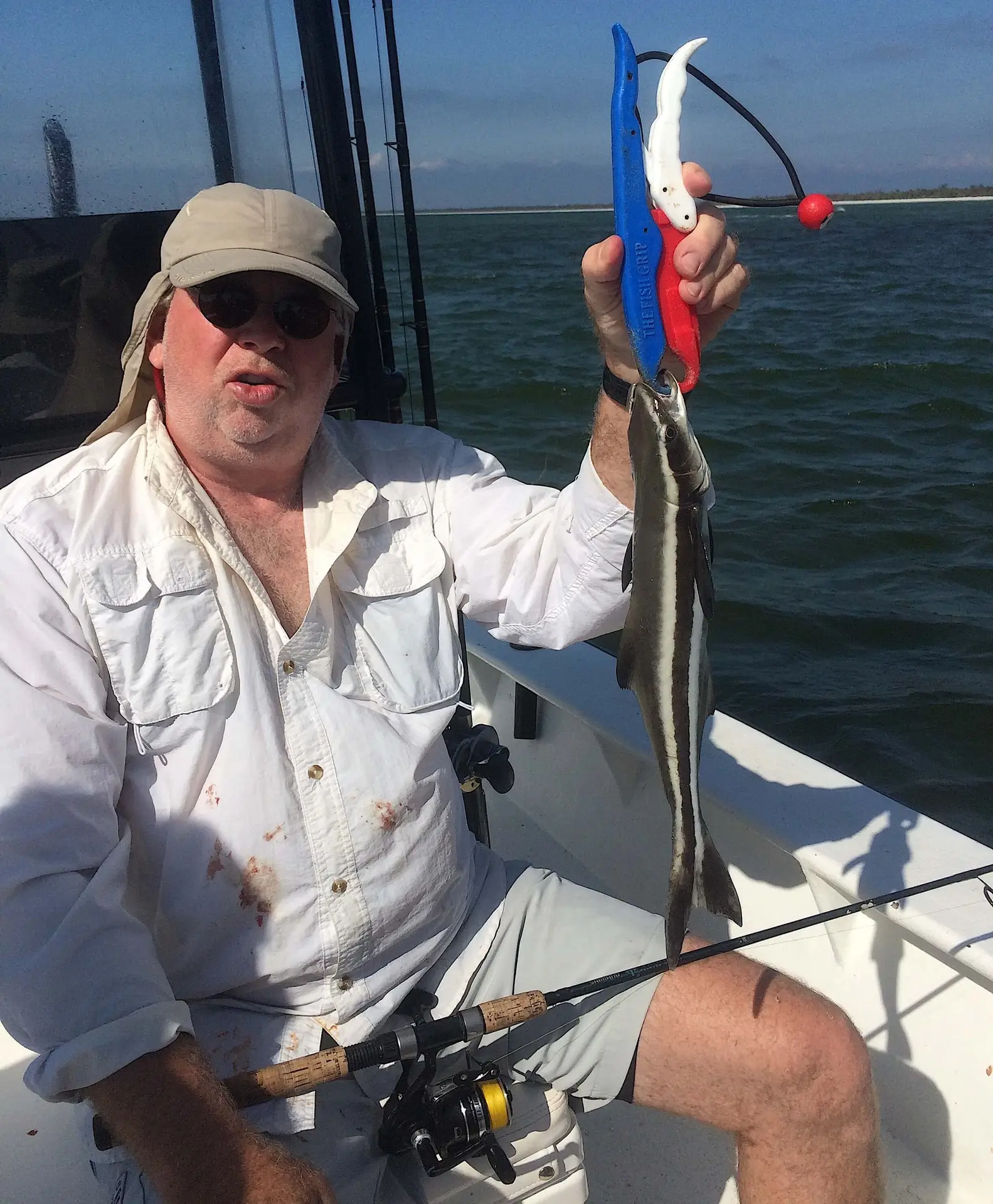Little Cobia, Catch & Release, Sanibel Fishing & Captiva Fishing, Sanibel Island, Saturday, November 11, 2017.