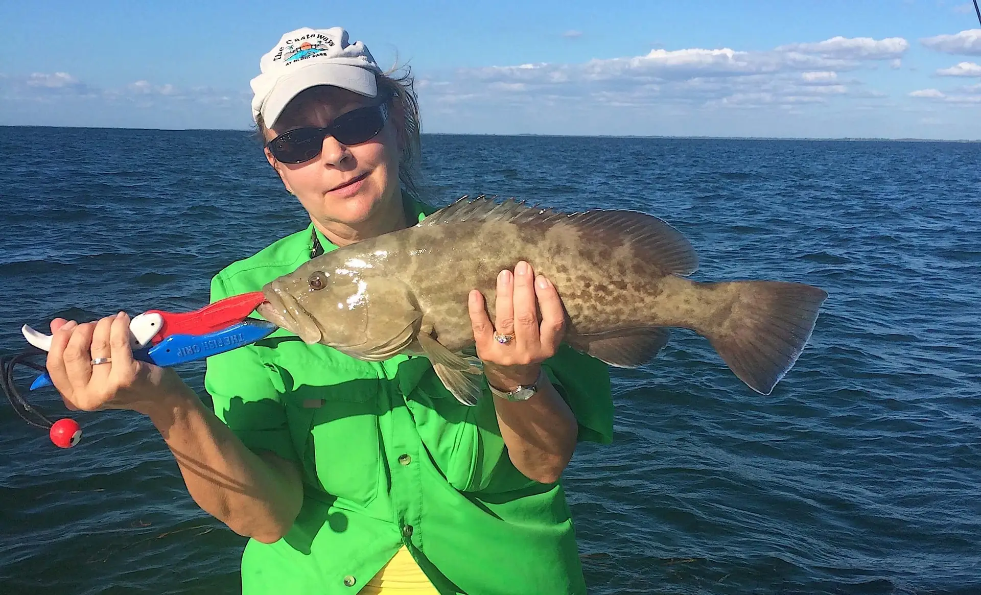 Grouper, Inshore Structure, Catch & Release, Sanibel Fishing & Captiva Fishing, Sanibel Island, Thursday, November 16, 2017.