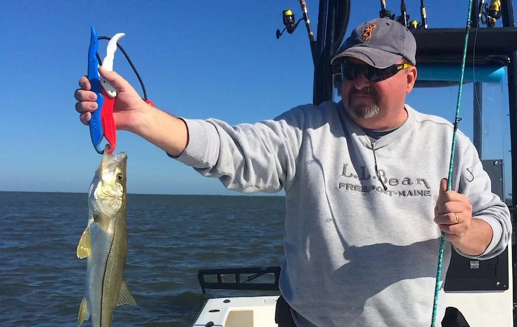 Snook, Catch & Release, Sanibel Fishing & Captiva Fishing, Sanibel Island, Wednesday, November 15, 2017.